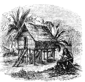 хижина на острові